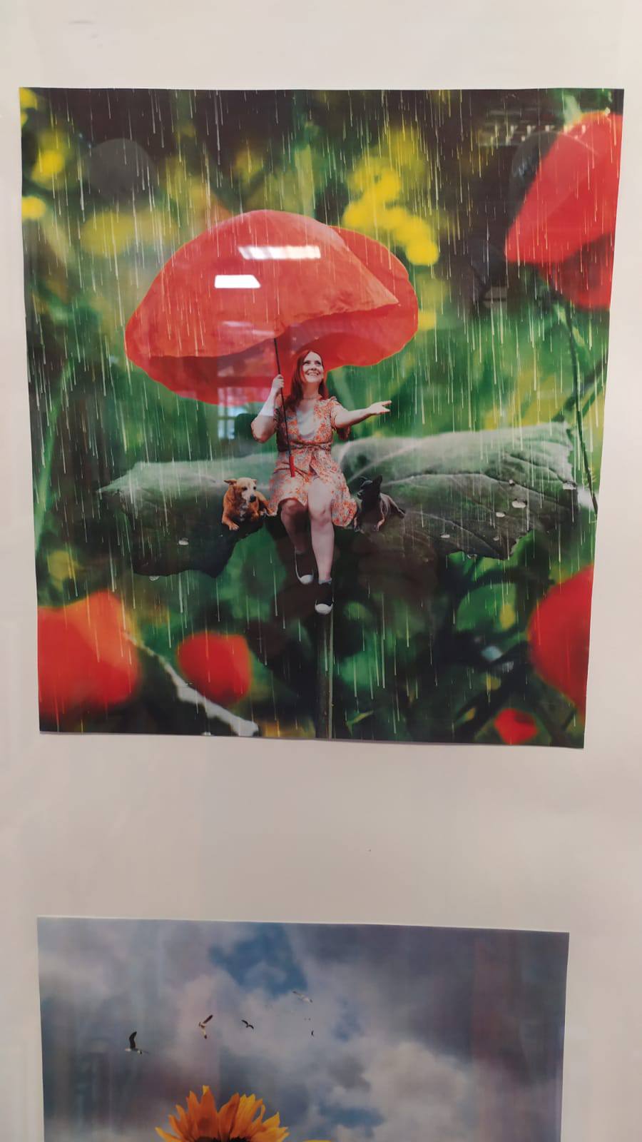 486598923_1177230490860508_7690252859604341860_n