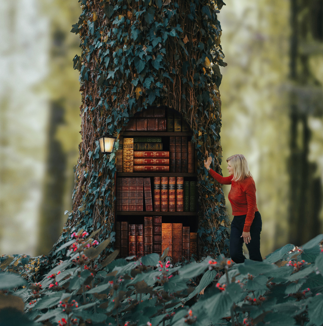 alis+knjige u drvu gotova