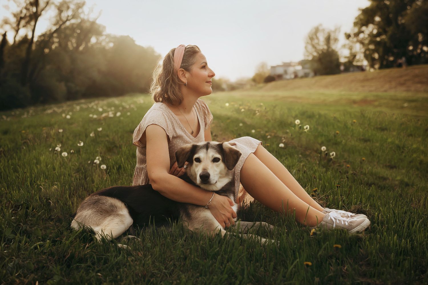 Fotografiranje pasa Zagreb